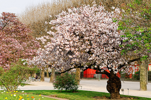 Autor: Marie-Lan Nguyen