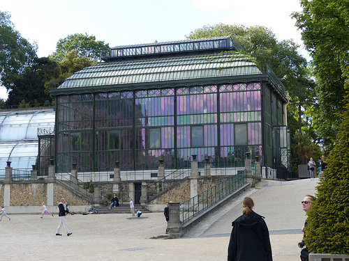 Autor: Steve Silverman