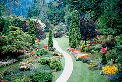 Autor: Jerry and Pat Donaho