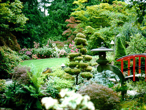 Autor: Jerry and Pat Donaho