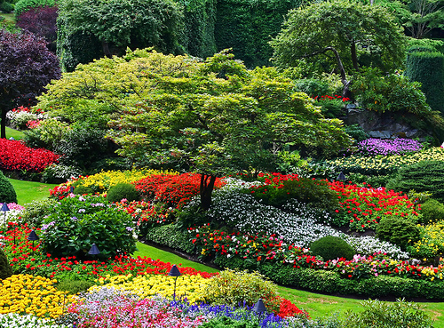 Descubre los Jardines Butchart, los jardines más bonitos del mundo