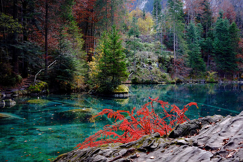 lago Blausee 3