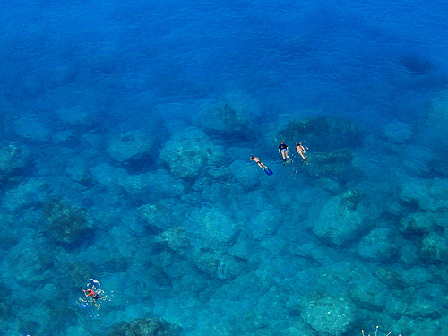 Autor: Niccolo Rigacci