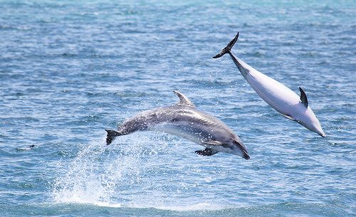 Bahía de las Islas 2