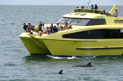 Bahía de las Islas 4