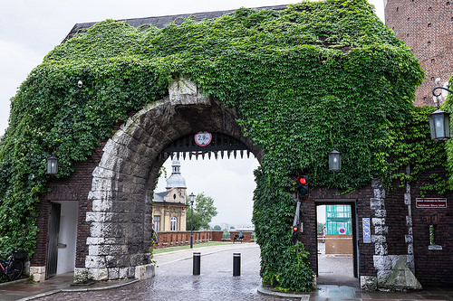 Castillo Wawel 2