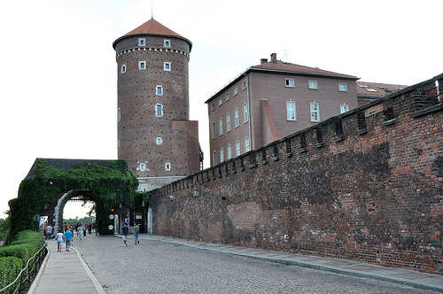 Castillo Wawel 5