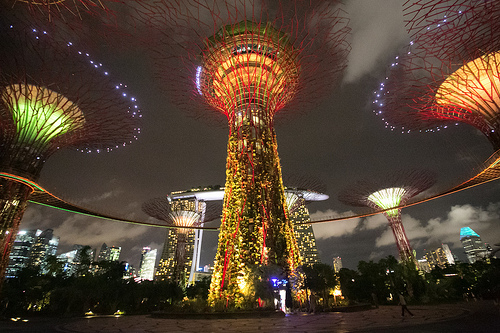 Gardens by the Bay 4