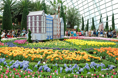 Gardens by the Bay 5