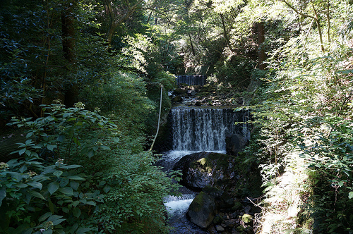 Hakone 4