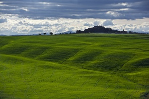 San Giovanni d'Asso, una ciudad monumental en el paisaje más bello de la Toscana
