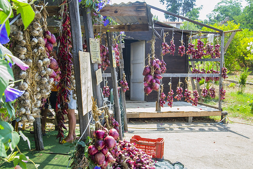 Autor: Francesco Cirigliano