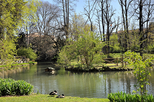 jardín de la Villa Belgiojoso Bonaparte 2
