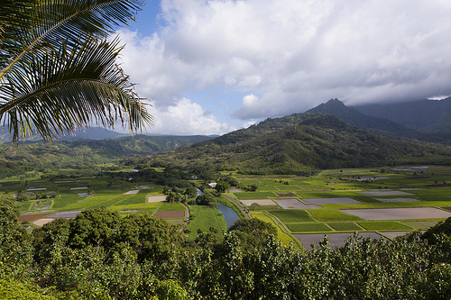 Kauai 2