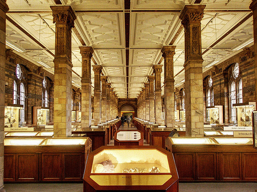Museo de Historia Natural, uno de los lugares más visitados de Londres