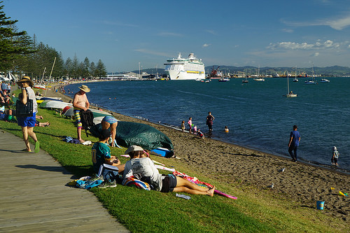 Tauranga 3