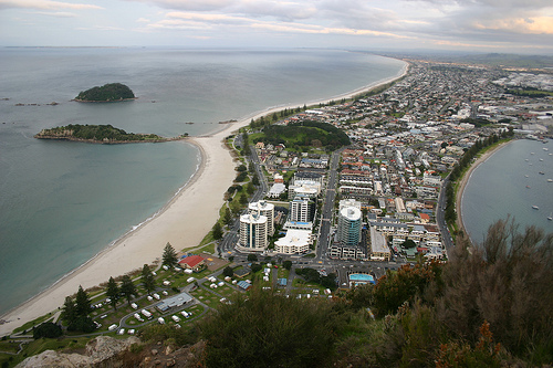 Tauranga 5