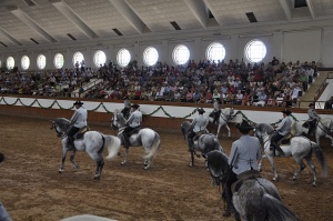 Te enseñamos cómo bailan los caballos andaluces