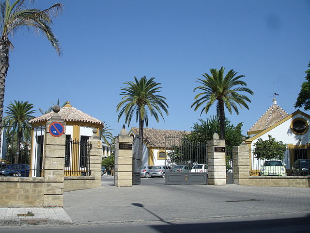 escuela real ecuestre caballos andaluces
