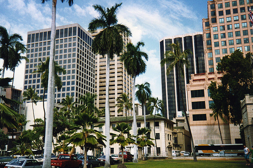 isla Oahu 3