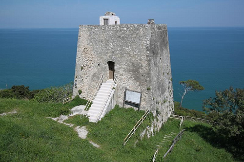 termoli 3