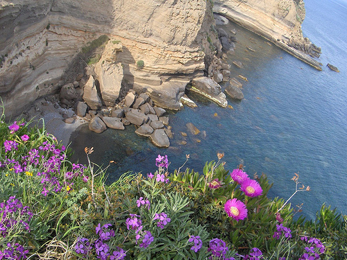 ventotene 5