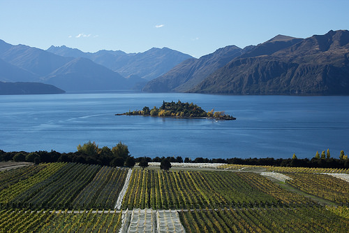Wanaka 2