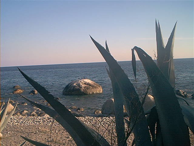 costa de los jazmines 3