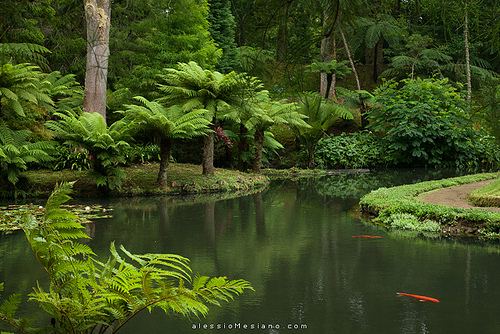 terra nostra garden 2