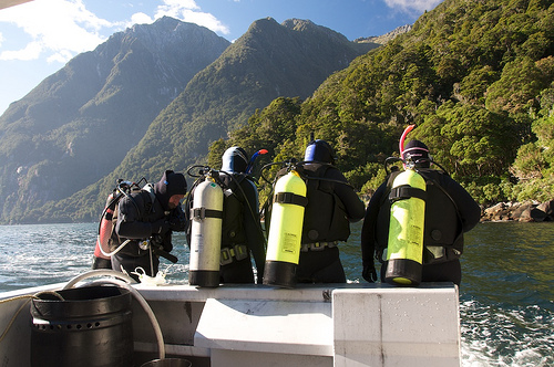 Milford Sound 5