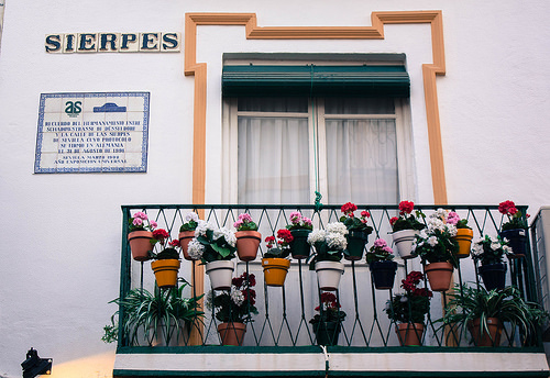 calle sierpes 3