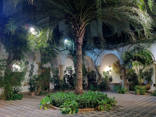 palacio de viana 7