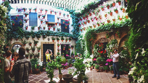 patios de cordoba 3