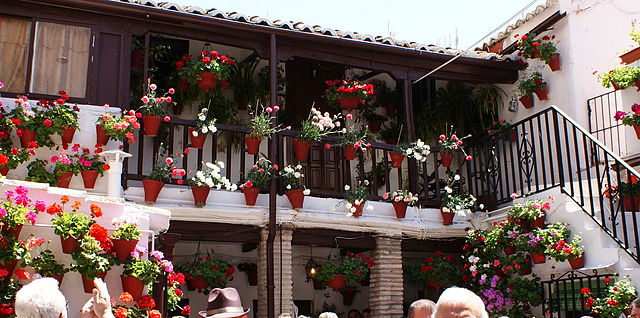 patios de cordoba 5