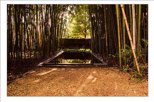 quinta das lagrimas 4