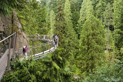 Capilano 5