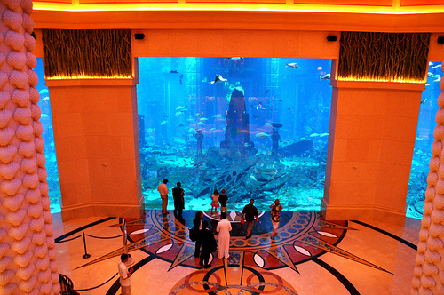 Hotel Atlantis 3