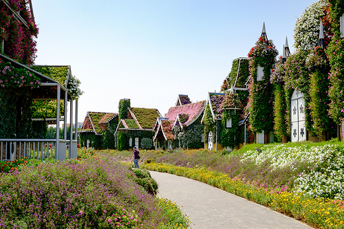 El espectacular jardín en Dubái llamado Miracle Garden