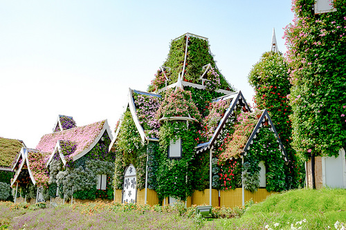Miracle Garden 2