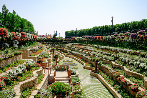 Miracle Garden 3