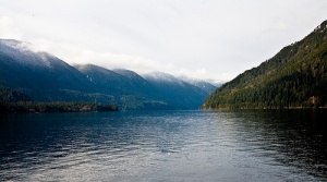 El maravilloso Parque Nacional Olympic