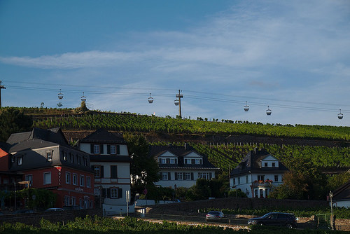 Rüdesheim 6