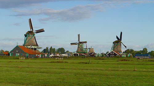 Zaandam 4