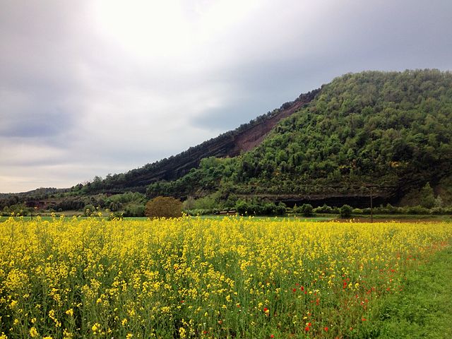 garrocha 2