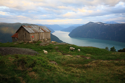 fiordos de Noruega 6