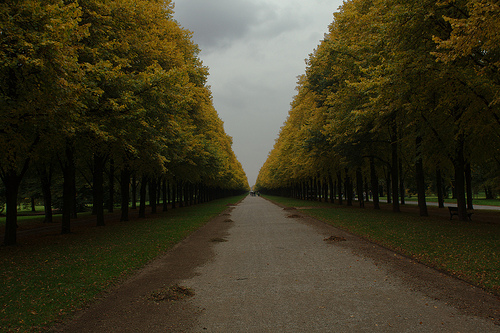 jardines de Alemania 7