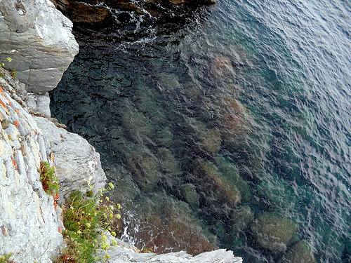 camogli 5