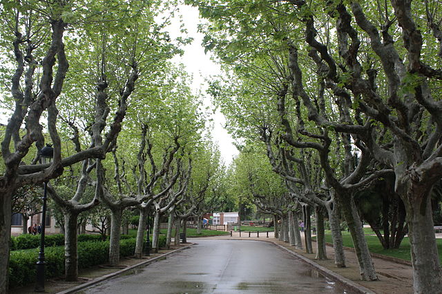 parque de la ciudadela 3