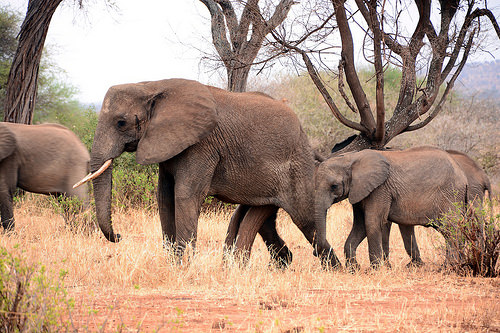 celebrar un cumpleaños 2