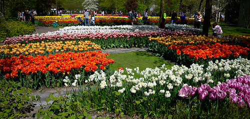 jardines 3